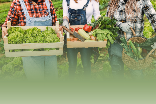 People holding wooden crates filled with vegetables